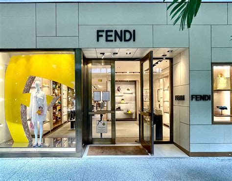 i'm in the fendi store i don't need help|Fendi's Identity Strategy: The It.